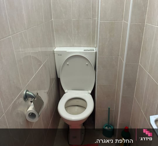 אסלה, מברשת ניקוי, נייר טואלט, חומר ניקוי, שטיח אדום